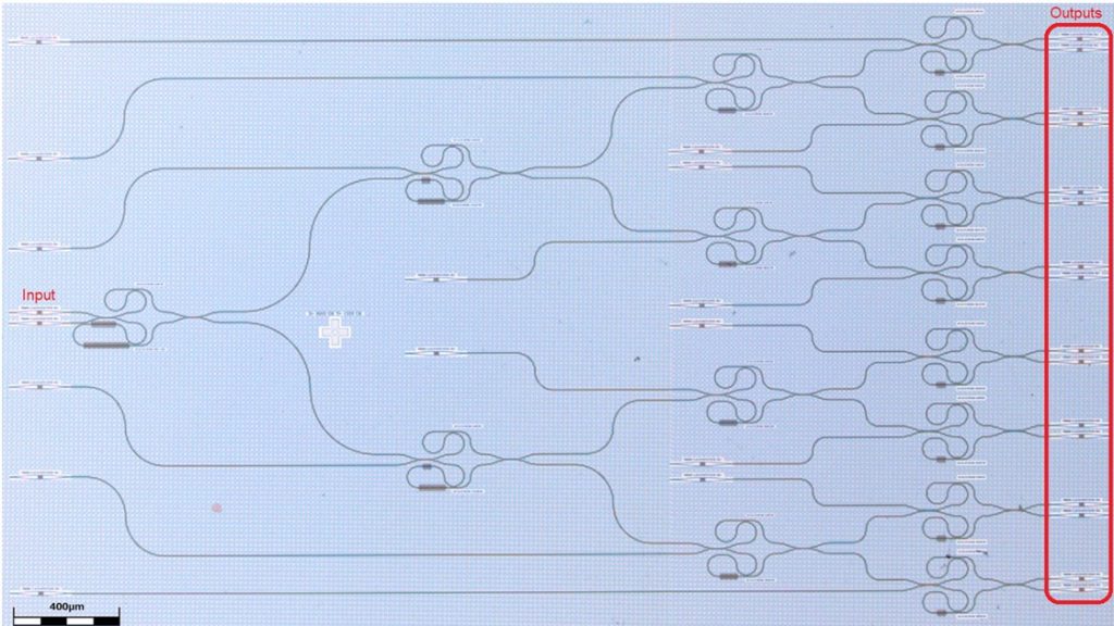 Photonic circuits, microscope image